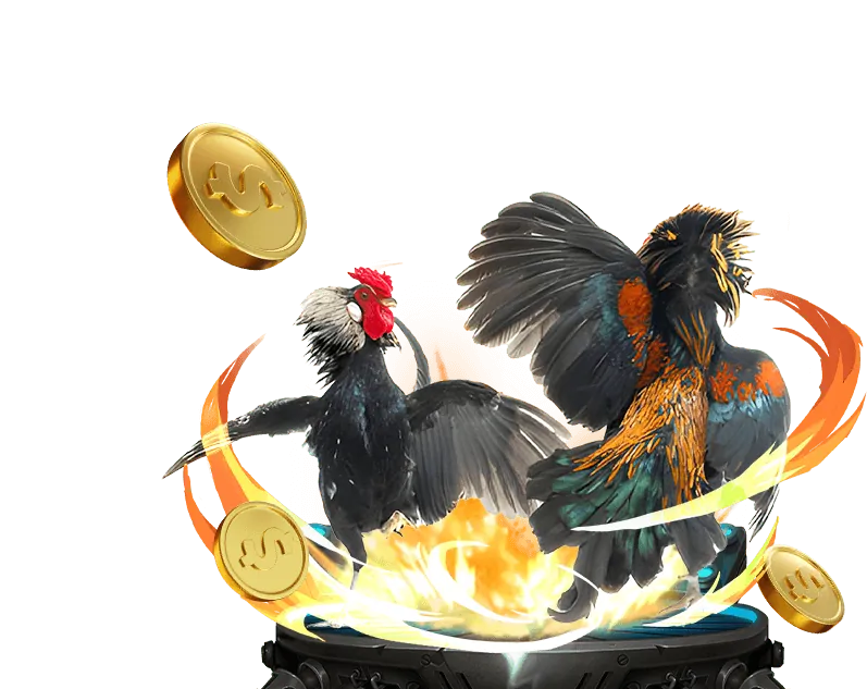 Chính sách cá cược có trách nhiệm của B52